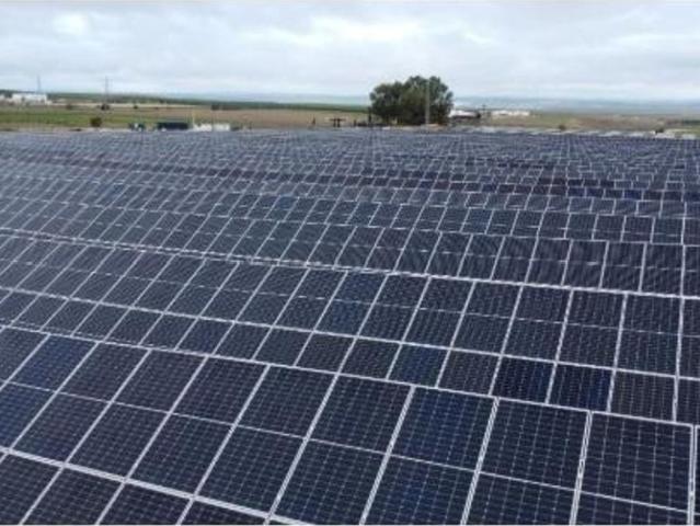 Terreno / Solar Algorfa, España