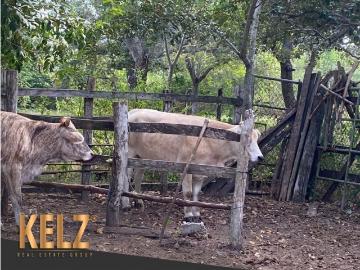 Terreno / Solar Altamira, Tamaulipas