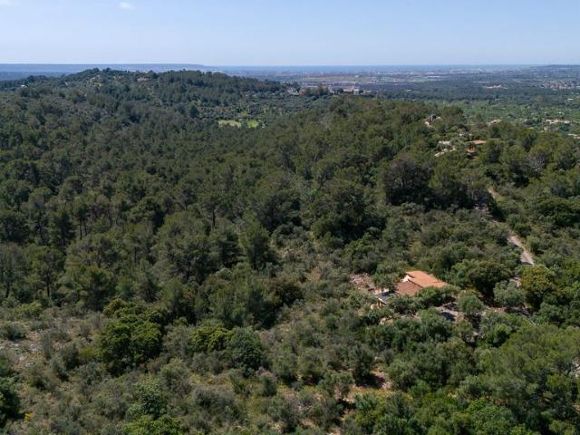 Terreno / Solar Bunyola, Baleares