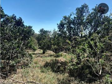 Terreno / Solar Boquete, Provincia de Chiriquí