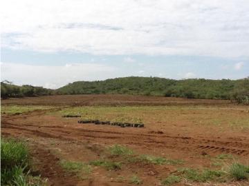 Terreno / Solar Calobre, Provincia de Veraguas 130035 LuxuryEstate. Com