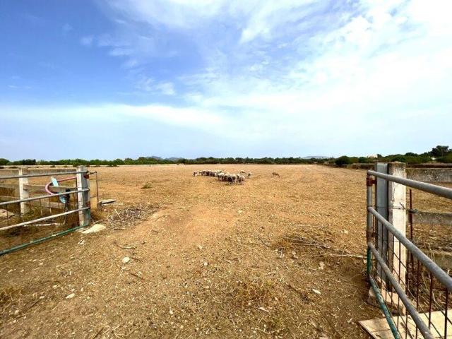 Terreno / Solar Campos, España