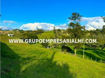 Terreno / Solar Carmen de Viboral, Departamento de Antioquia