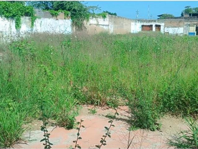 Terreno / Solar Carúpano, Estado Sucre