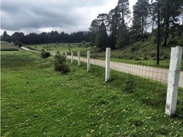 Terreno / Solar Chapa de Mota, México