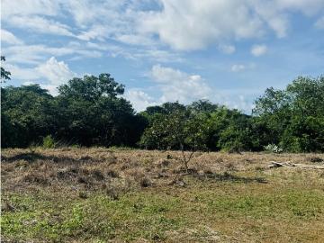 Terreno / Solar David, Provincia de Chiriquí