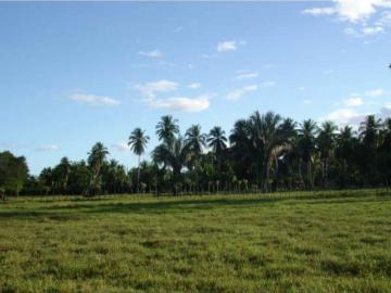 Terreno / Solar de 141500 m2 en venta Remedios, Provincia de Chiriquí