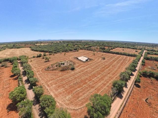 Terreno / Solar de 192 m2 Campos, España