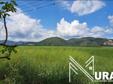 Terreno / Solar de 100000 m2 en venta Flandes, Departamento de Tolima