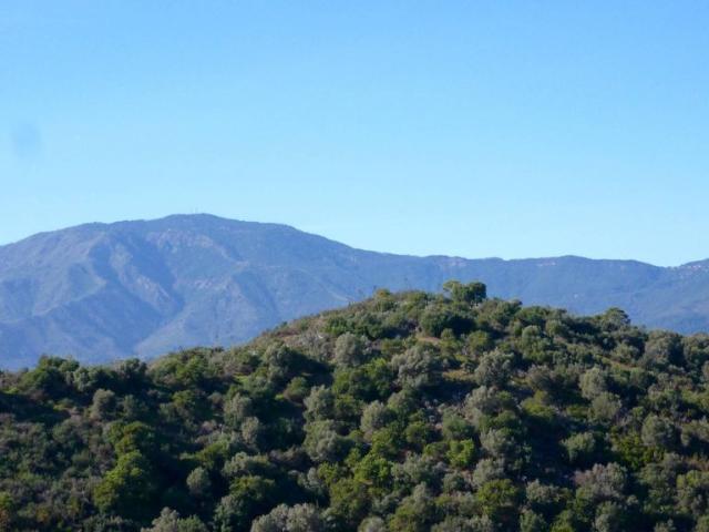 Terreno / Solar de 1000 m2 en venta Estepona, Andalucía