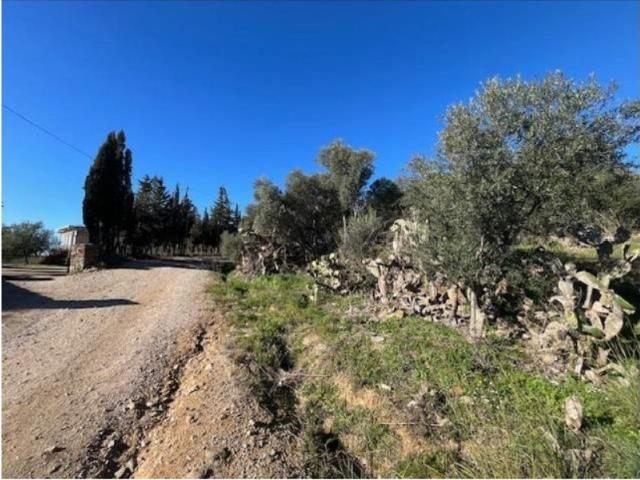 Terreno / Solar en venta Palau saverdera, España