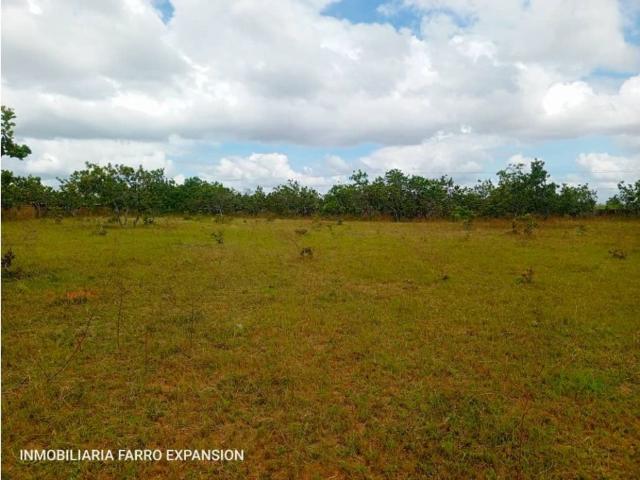 Terreno / Solar de 120000 m2 El Tigre, Estado Anzoátegui