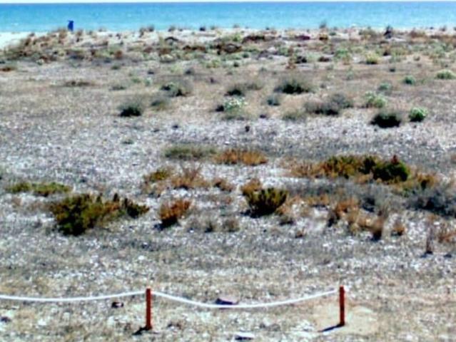 Terreno / Solar de 1209 m2 Almenara, España