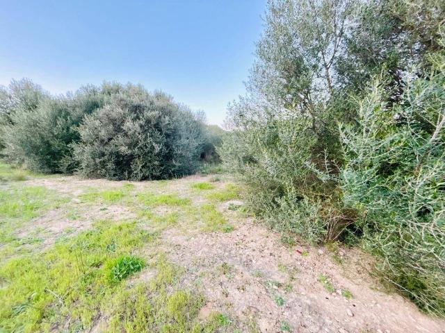 Terreno / Solar de 1296 m2 en venta Inca, Baleares