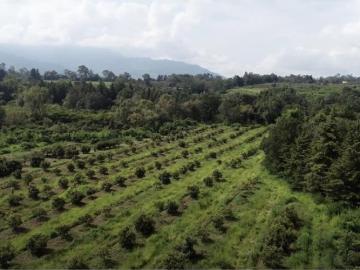 Terreno / Solar en venta Valle de Bravo, México