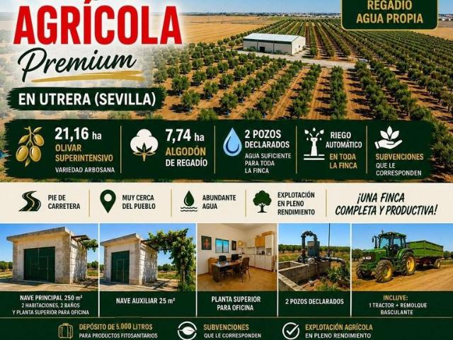 Terreno / Solar de 2419 m2 Utrera, España