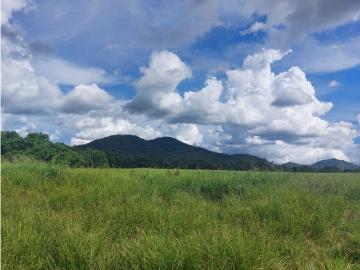 Terreno / Solar de 250000 m2 en venta Soná, Provincia de Veraguas