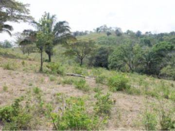 Terreno / Solar Chilibre, Panamá 129273 LuxuryEstate. Com