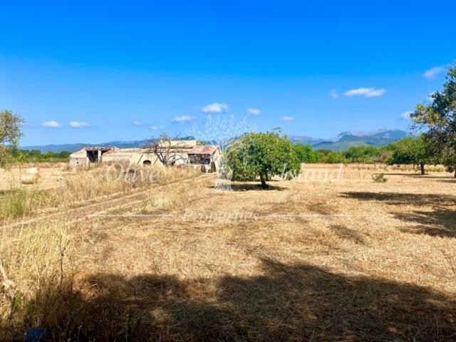 Terreno / Solar de 260 m2 en venta Binissalem, España