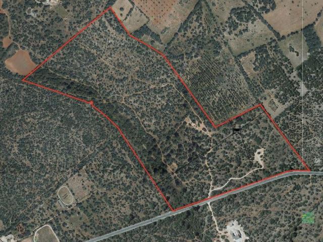 Terreno / Solar de 290 m2 Llucmajor, Baleares