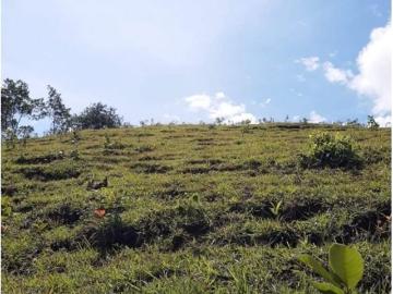 Terreno / Solar de 210000 m2 en venta San Jerónimo, Colombia