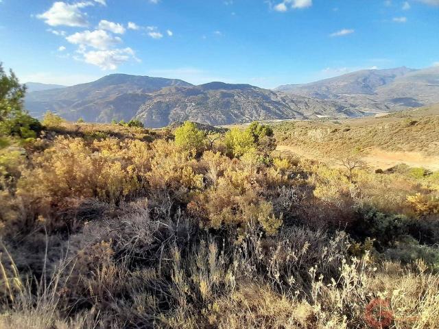 Terreno / Solar de 32000 m2 en venta Vélez de Benaudalla, España