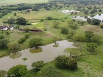 Terreno / Solar de 440000 m2 en venta Zarzal, Departamento del Valle del Cauca