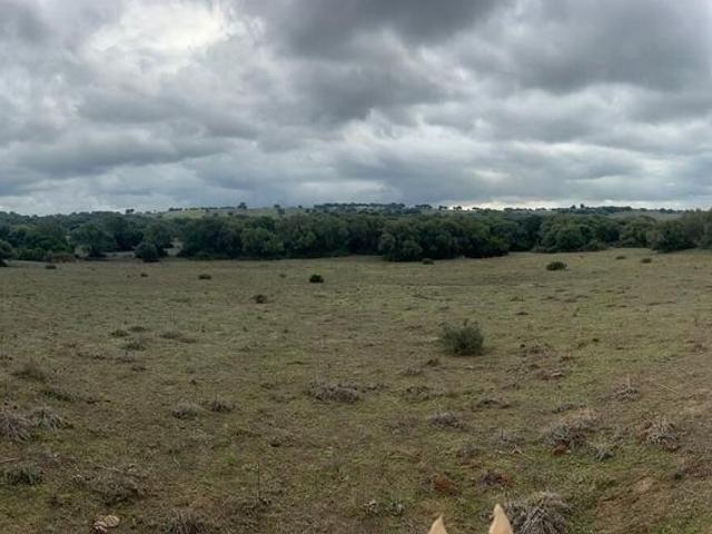 Terreno / Solar en venta Vejer de la Frontera, España