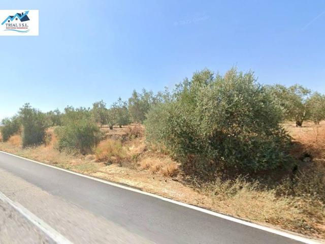 Terreno / Solar de 575 m2 Marchena, Andalucía
