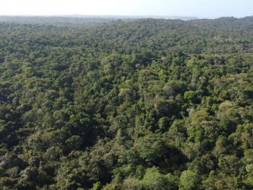 Terreno / Solar de 530000 m2 en venta Balboa, Provincia de Panamá