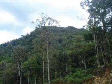 Terreno / Solar de 600000 m2 Boquete, Provincia de Chiriquí