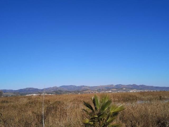 Terreno / Solar de 745000 m2 en venta La Llosa, Comunidad Valenciana
