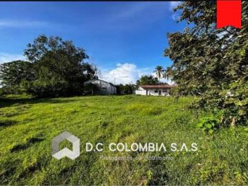 Terreno / Solar de 820300 m2 en venta Carmen de Apicalá, Colombia