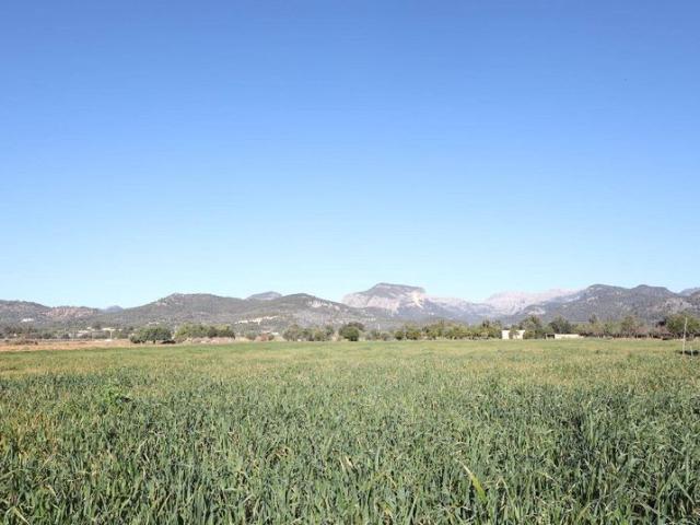 Terreno / Solar de 937 m2 en venta Binissalem, España