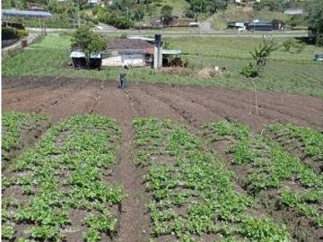 Terreno / Solar en venta Marinilla, Departamento de Antioquia