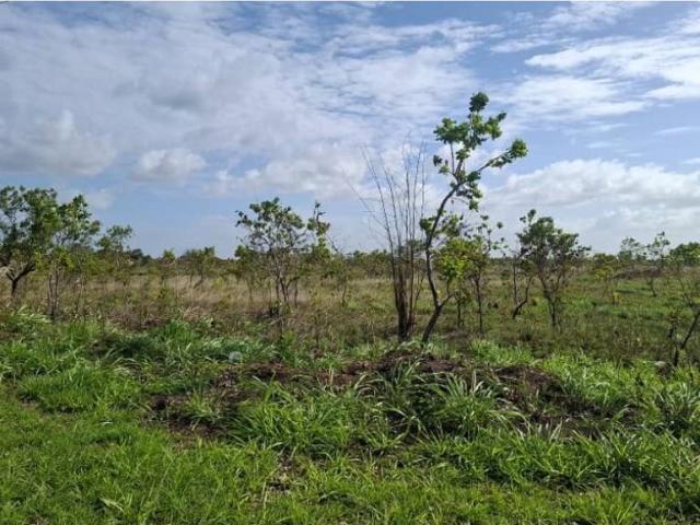 Terreno / Solar en venta Maturín, Estado Monagas