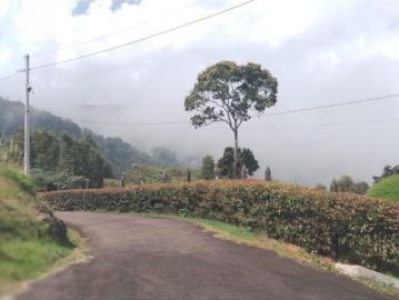 Terreno / Solar en venta Medellín, Colombia