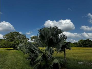 Terreno / Solar en venta Montería, Colombia
