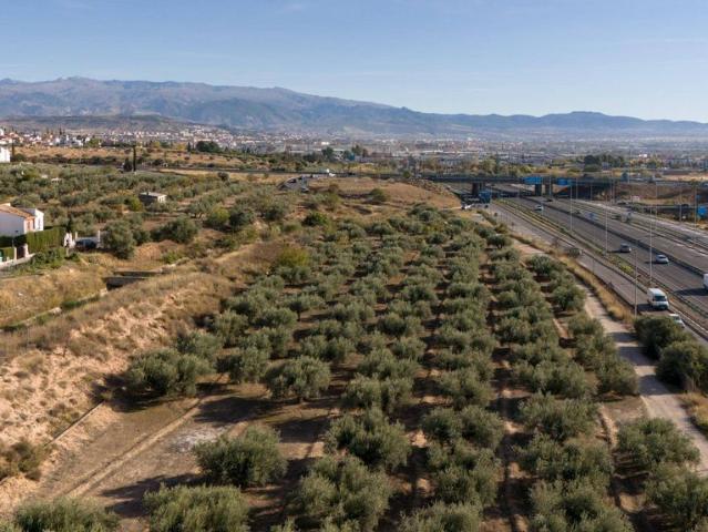Terreno / Solar en venta Albolote, España
