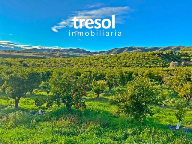 Terreno / Solar en venta Alhaurín de la Torre, Andalucía