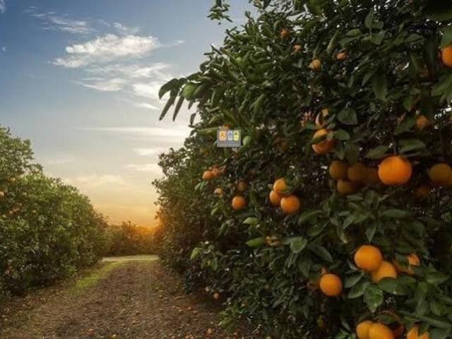 Terreno / Solar en venta Altea, Comunidad Valenciana