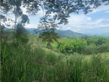 Terreno / Solar en venta Anserma, Departamento de Risaralda