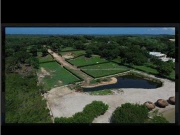 Terreno / Solar en venta Argelia, Colombia