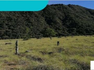 Terreno / Solar en venta Bugaba, Panamá