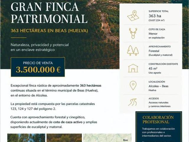 Terreno / Solar en venta Beas, Andalucía