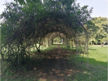 Terreno / Solar en venta Cali, Departamento del Valle del Cauca