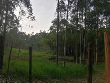 Terreno / Solar en venta Carmen de Viboral, Departamento de Antioquia
