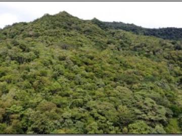Terreno / Solar en venta Chame, Panamá Oeste