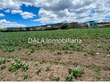 Terreno / Solar en venta Chía, Colombia