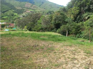 Terreno / Solar en venta Cisneros, Departamento de Antioquia